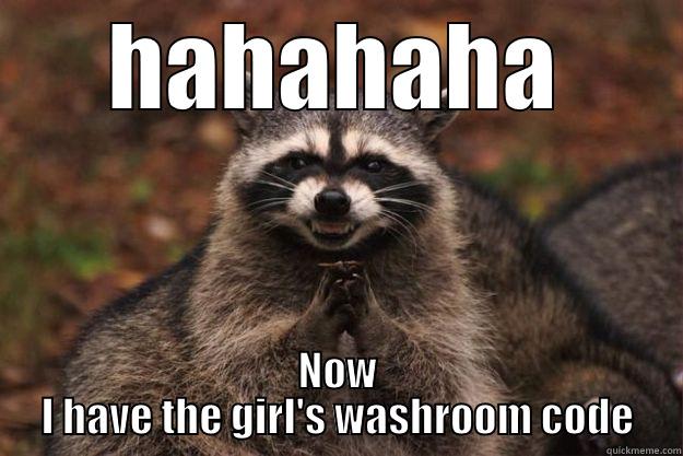HAHAHAHA NOW I HAVE THE GIRL'S WASHROOM CODE Evil Plotting Raccoon