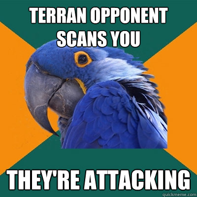 Terran opponent scans you They're attacking  Paranoid Parrot