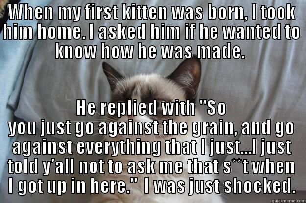 WHEN MY FIRST KITTEN WAS BORN, I TOOK HIM HOME. I ASKED HIM IF HE WANTED TO KNOW HOW HE WAS MADE.  HE REPLIED WITH 