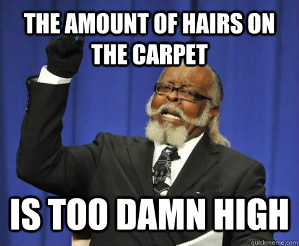 The amount of hairs on the carpet Is too damn high  Too Damn High