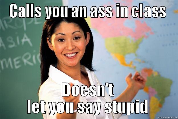 CALLS YOU AN ASS IN CLASS DOESN'T LET YOU SAY STUPID Unhelpful High School Teacher