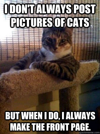 I don't always post pictures of cats But when I do, I always make the front page.  The Most Interesting Cat in the World
