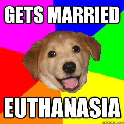 Gets married euthanasia  Advice Dog