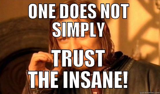 ONE DOES NOT SIMPLY TRUST THE INSANE! Boromir
