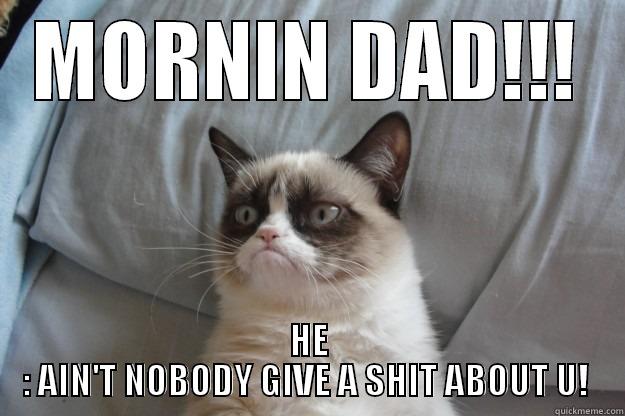 MORNIN DAD!!! HE : AIN'T NOBODY GIVE A SHIT ABOUT U!  Grumpy Cat