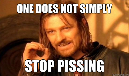 One Does Not Simply stop pissing  Boromir