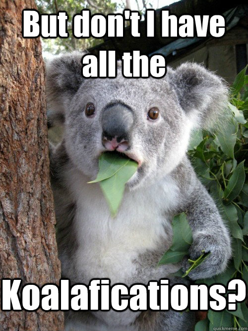 But don't I have all the Koalafications? - But don't I have all the Koalafications?  astonished koala