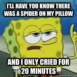 I'll have you know there was a spider on my pillow And I only cried for 20 minutes  - I'll have you know there was a spider on my pillow And I only cried for 20 minutes   Tough guy spongebob