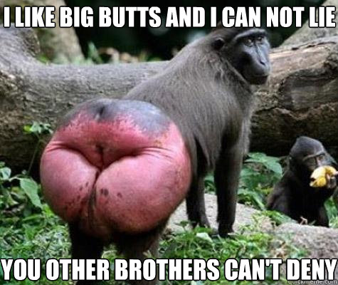 I like big butts and I can not lie You other brothers can't deny   