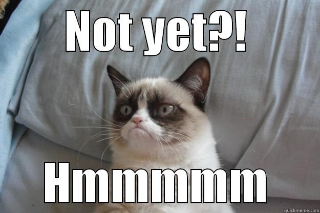 NOT YET?! HMMMMM Grumpy Cat