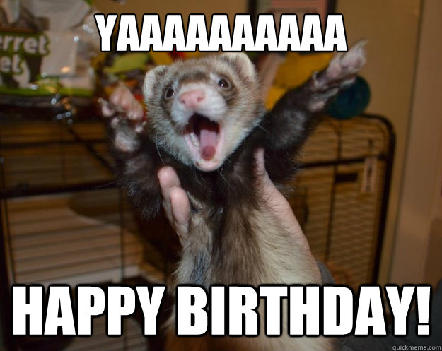 Yaaaaaaaaaa Happy Birthday! - Yaaaaaaaaaa Happy Birthday!  Friendly Ferret
