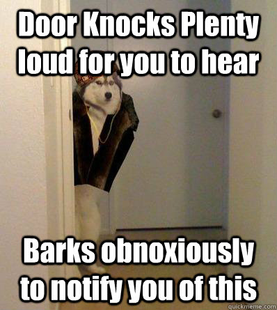 Door Knocks Plenty loud for you to hear Barks obnoxiously to notify you of this  Scumbag dog