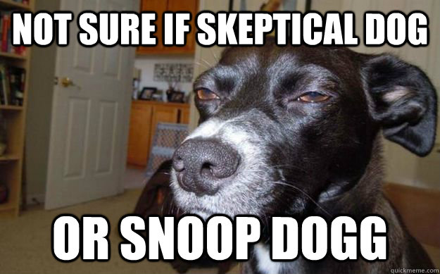 Not sure if skeptical dog or snoop dogg  Skeptical Mutt
