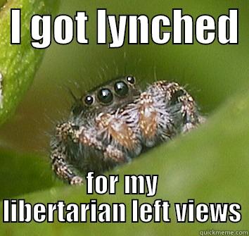  I GOT LYNCHED  FOR MY LIBERTARIAN LEFT VIEWS Misunderstood Spider