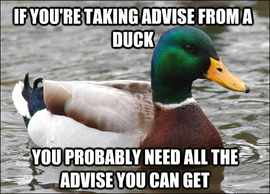 If you're taking advise from a duck you probably need all the advise you can get  Actual Advice Mallard