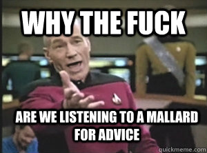 why the fuck are we listening to a mallard for advice  Annoyed Picard