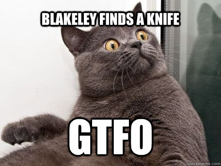 Blakeley finds a knife gtfo - Blakeley finds a knife gtfo  conspiracy cat