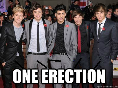 One Erection  One Erection