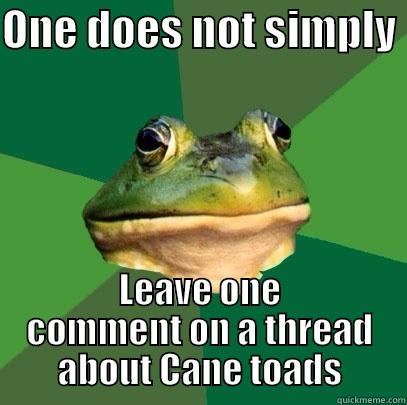 ONE DOES NOT SIMPLY  LEAVE ONE COMMENT ON A THREAD ABOUT CANE TOADS Foul Bachelor Frog