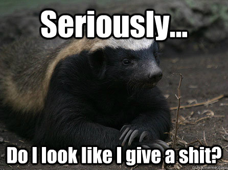 Seriously... Do I look like I give a shit?  Honey Badger