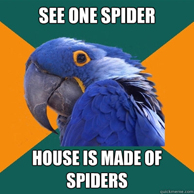see one spider  house is made of spiders  Paranoid Parrot