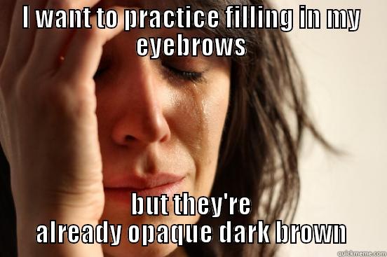 I WANT TO PRACTICE FILLING IN MY EYEBROWS BUT THEY'RE ALREADY OPAQUE DARK BROWN First World Problems