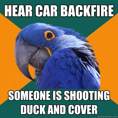 HEAR CAR BACKFIRE SOMEONE IS SHOOTING DUCK AND COVER  Paranoid Parrot