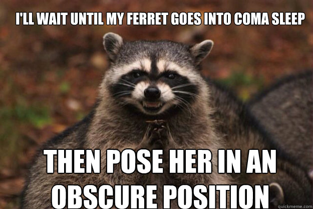 I'll wait until my ferret goes into coma sleep  Then pose her in an obscure position 
  evil racoon