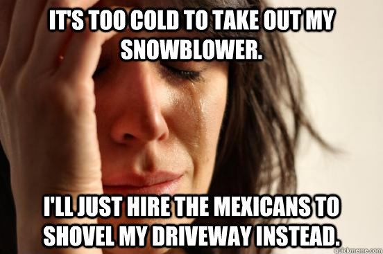 It's too cold to take out my snowblower. I'll just hire the mexicans to shovel my driveway instead.  First World Problems
