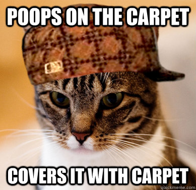Poops on the carpet covers it with carpet  Scumbag Cat