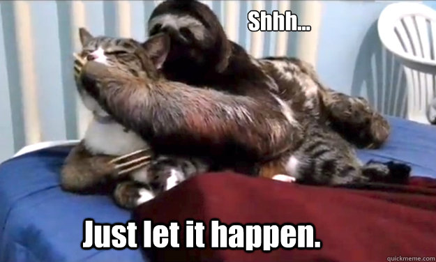 Just let it happen. - rape sloth - quickmeme.