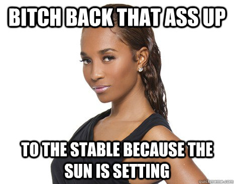 bitch back that ass up to the stable because the sun is setting - bitch back that ass up to the stable because the sun is setting  Successful Black Woman