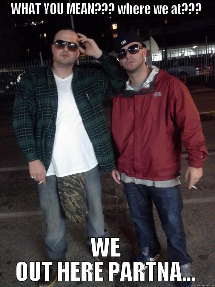 what you meme - WHAT YOU MEAN??? WHERE WE AT??? WE OUT HERE PARTNA... Misc