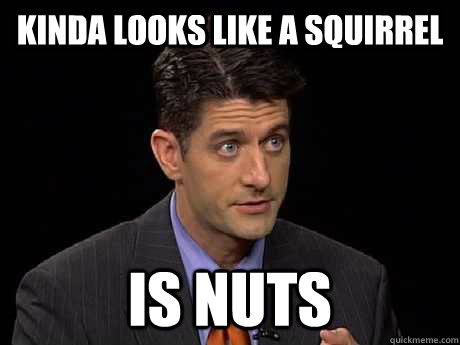 Kinda looks like a squirrel Is nuts - Kinda looks like a squirrel Is nuts  Scumbag Ryan
