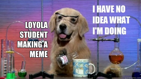 Loyola Student making a meme  - Loyola Student making a meme   science dog