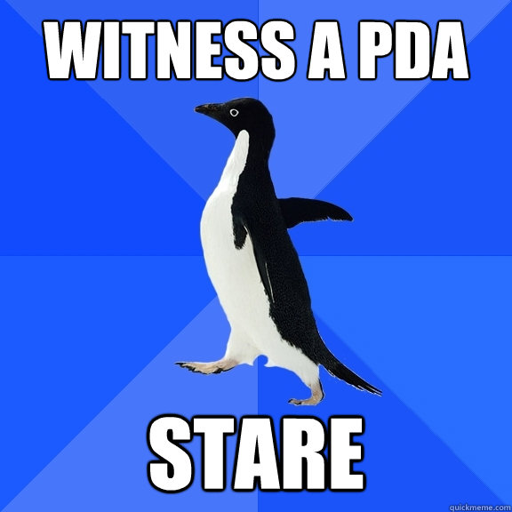Witness a PDA STARE  Socially Awkward Penguin