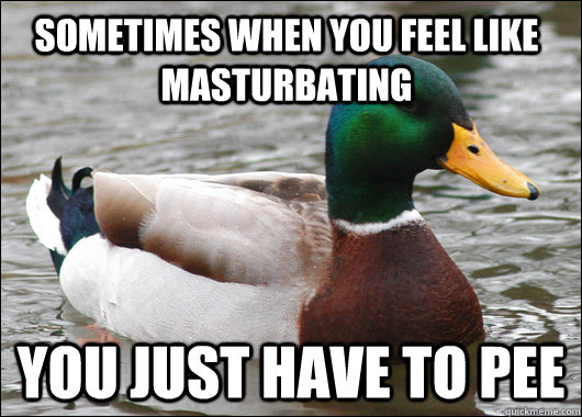 Sometimes when you feel like masturbating You just have to pee  Actual Advice Mallard