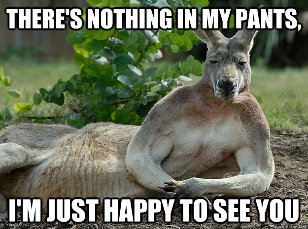There's Nothing In My Pants, I'm Just Happy To See You  Sexually Forward Kangaroo