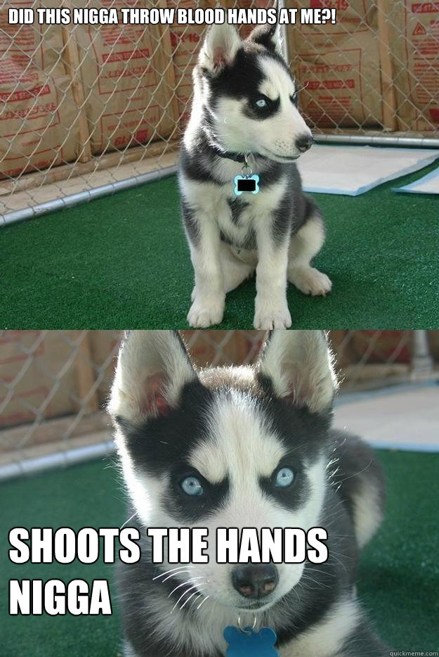 Did this nigga throw blood hands at me?! shoots the hands nigga  Insanity puppy