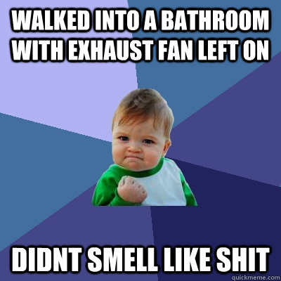 Walked into a bathroom with exhaust fan left on Didnt smell like shit  Success Kid