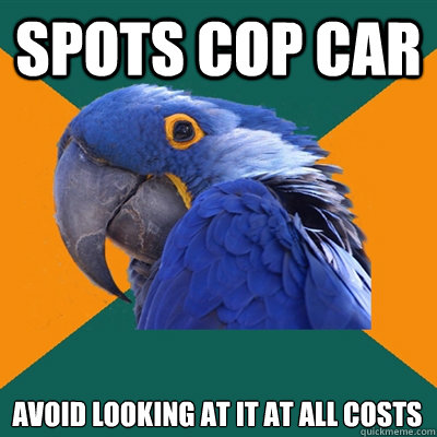 spots cop car avoid looking at it at all costs  Paranoid Parrot