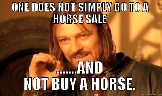 ONE DOES NOT SIMPLY GO TO A HORSE SALE .......AND NOT BUY A HORSE. Boromir