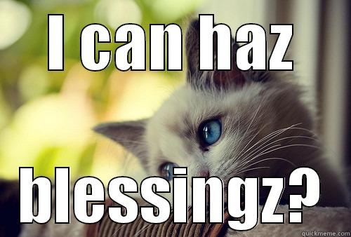 I CAN HAZ BLESSINGZ? First World Problems Cat