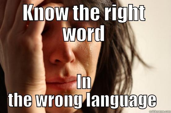 KNOW THE RIGHT WORD IN THE WRONG LANGUAGE  First World Problems
