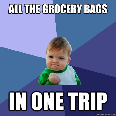 All the grocery bags in one trip  Success Kid