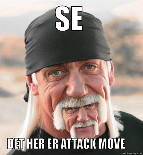 SE DET HER ER ATTACK MOVE     Misc