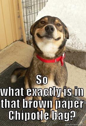  SO WHAT EXACTLY IS IN THAT BROWN PAPER CHIPOTLE BAG? Good Dog Greg