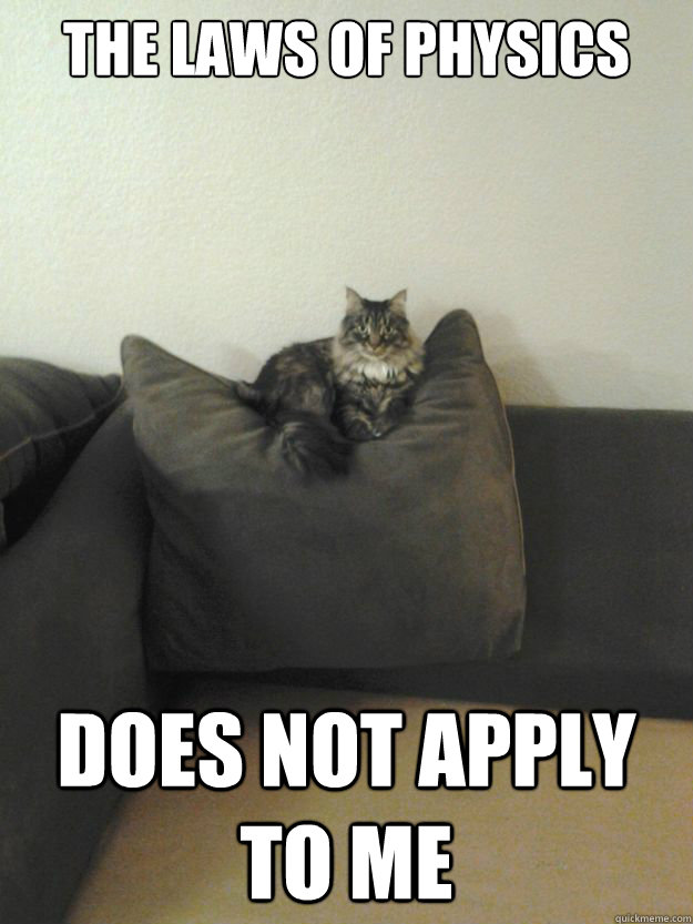 The laws of physics does not apply to me - The laws of physics does not apply to me  Misc