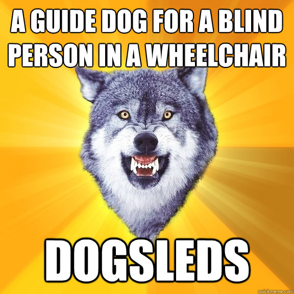 a guide dog for a blind person in a wheelchair dogsleds  Courage Wolf