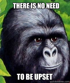 There is no need To be upset  gorilla munch